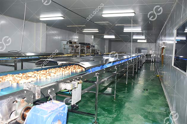 Línea De Producción De Cupcakes