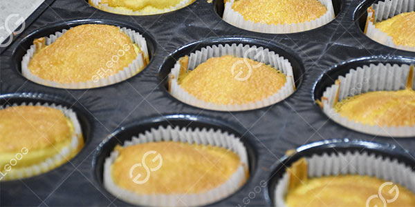 Fabricante De Hornos Rotatorios En China