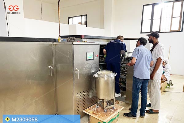 Línea Industrial De Mini Conos En Perú