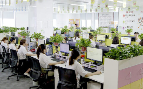 Equipo De Ventas Y Servicio