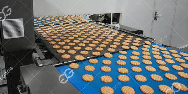 Línea De Producción De Galletas Blandas