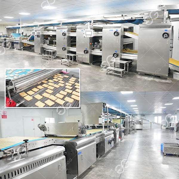 Proveedor De Línea De Producción De Galletas