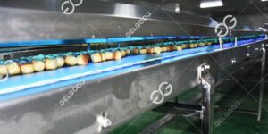 Maquina Industrial Para Negocio De Cupcakes